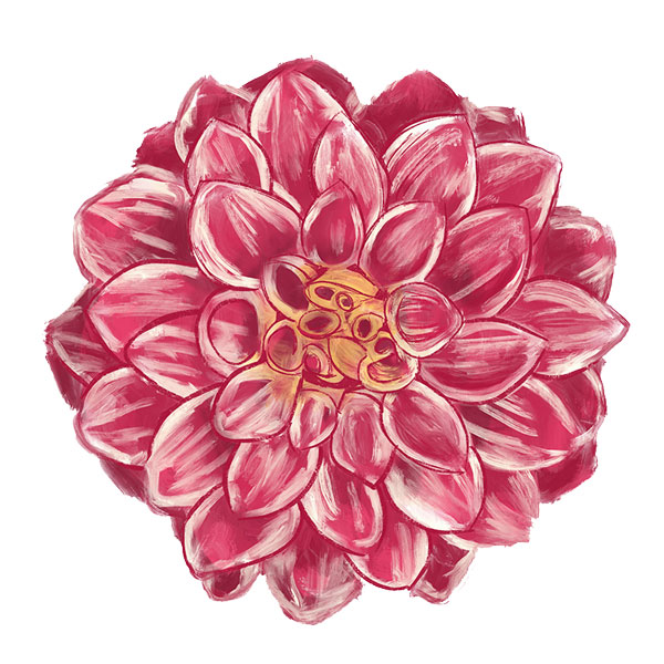 Dahlia